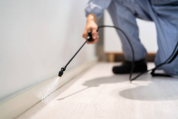 Licensed Mosquito Control service in Rome, IL - Show Me Pest Control