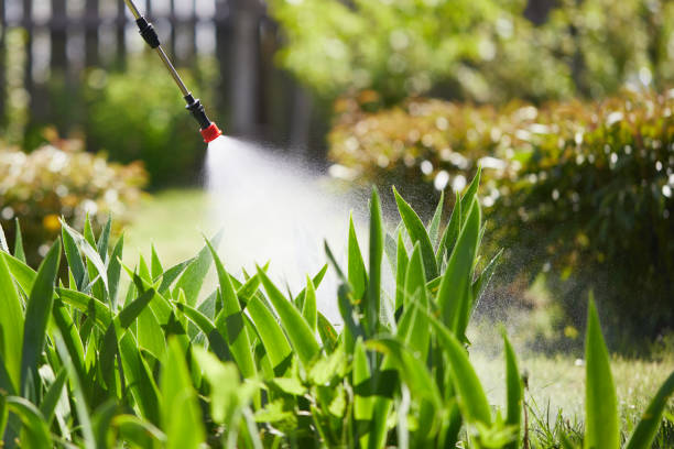 24/7 Emergency Mosquito Control experts in Rome, IL