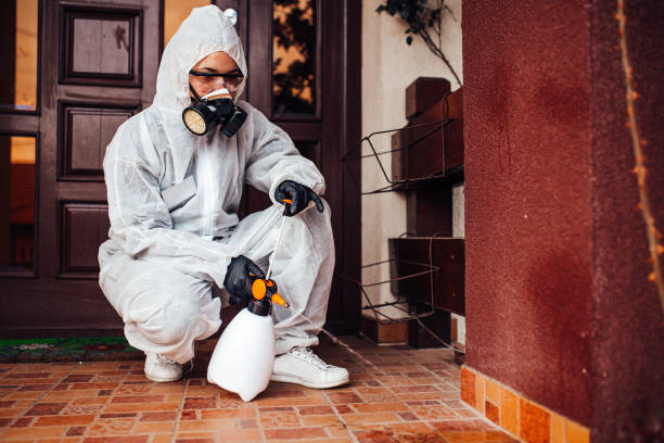 Reliable Mosquito Control contractor in Rome, IL by Show Me Pest Control