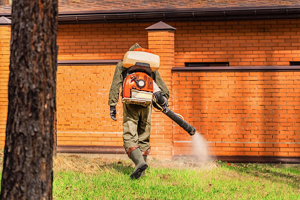 Top rated local Mosquito Control specialists in Rome, IL